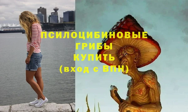 соль курить ск Верхний Тагил
