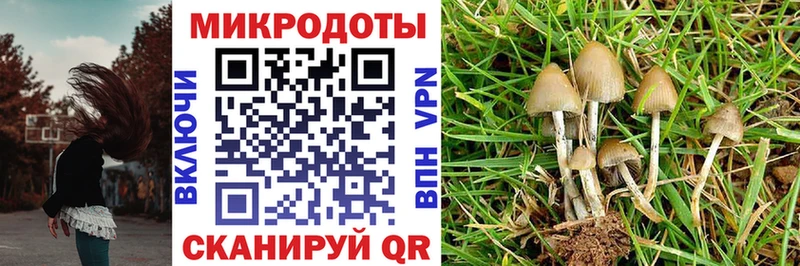 Псилоцибиновые грибы GOLDEN TEACHER  Камызяк 